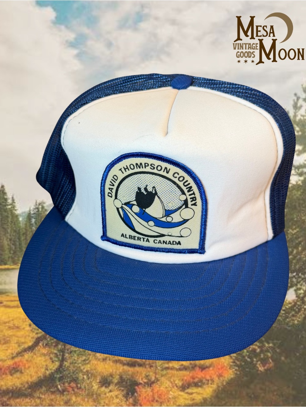 Vintage David Thompson Country Alberta Patch Trucker Hat